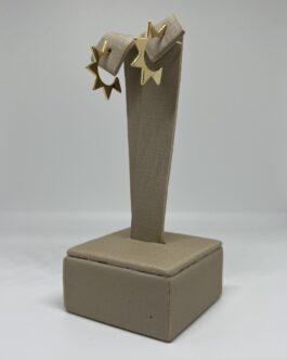 Brinco Meia Lua Estrela